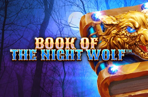 Book Of The Night Wolf
