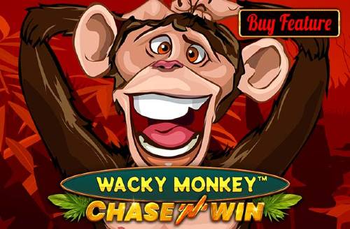 Wacky Monkey - ﻿﻿Chase'N'Win