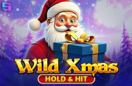 Wild Xmas - Hold & Hit