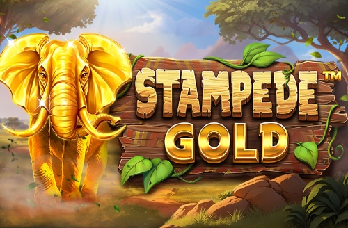 Stampede Gold 