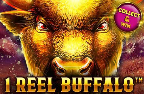 1 Reel Buffalo