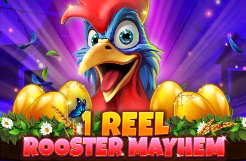 1 Reel - Rooster Mayhem