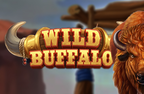 Wild Buffalo