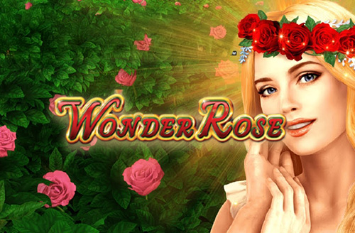 Wonder Rose